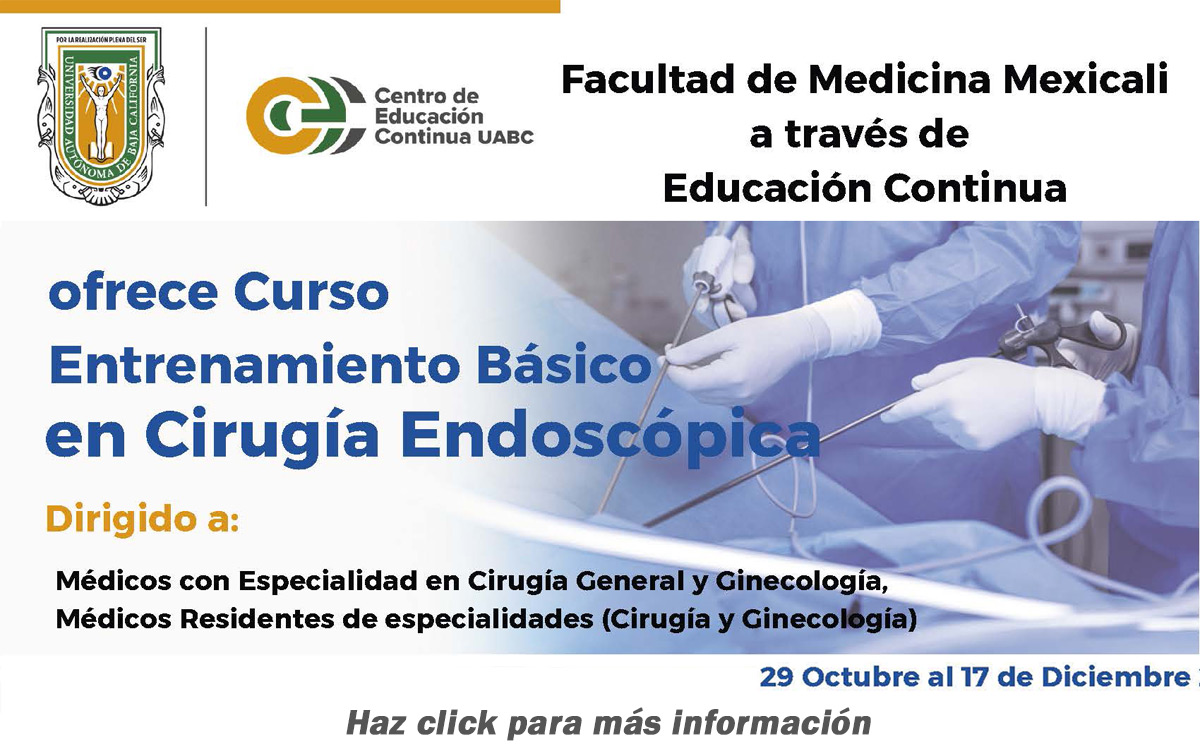 Curso Entrenamiento Básico en Cirugía Endoscópica.